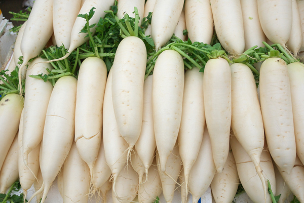 daikon