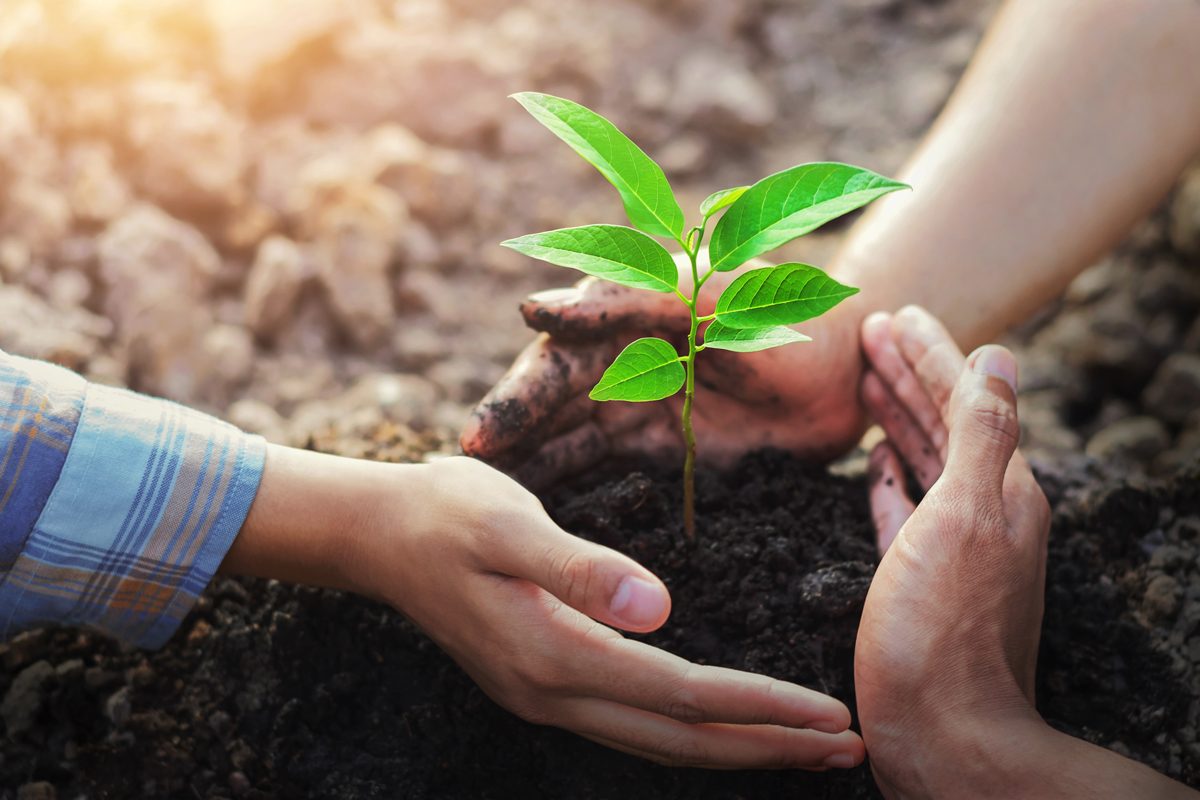 Alimentazione sostenibile nutrizionista